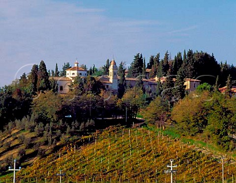 Vineyard below the village of Pancole near San   Gimignano Tuscany Italy Vernaccia di San   Gimignano  Chianti Colli Senesi