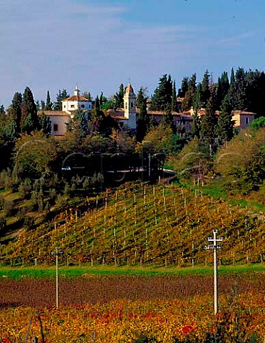 Vineyards below the village of Pancole   near San Gimignano Tuscany Italy   Vernaccia di San Gimignano  Chianti Colli Senesi