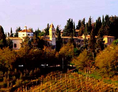 Vineyard below the village of Pancole near San   Gimignano Tuscany Italy Vernaccia di San   Gimignano  Chianti Colli Senesi