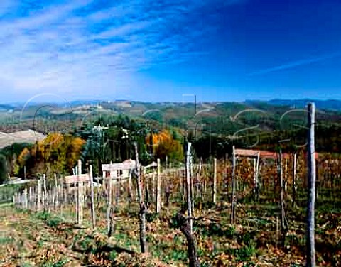 Aiola Estate near Vagliagli Tuscany Italy   Chianti Classico