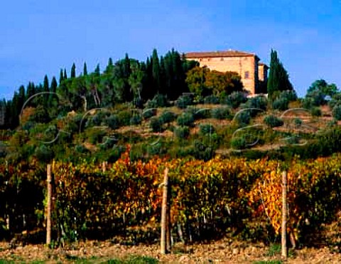 Villa dArgiano of Cinzano Argiano near   Montalcino Tuscany Italy Brunello di Montalcino