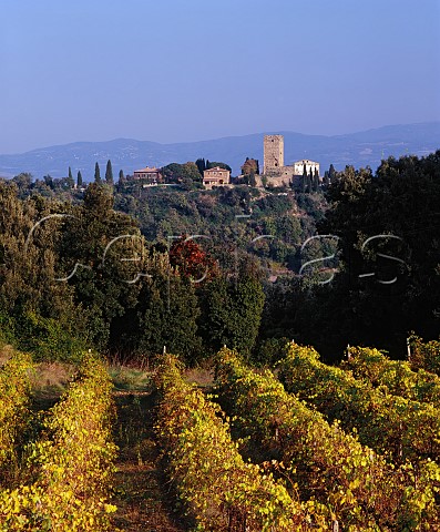 Castello di Argiano near Montalcino   Tuscany Italy Brunello di Montalcino