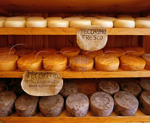 Three types of local Pecorino cheese on sale La Bottega del Naturista Pienza Tuscany Italy