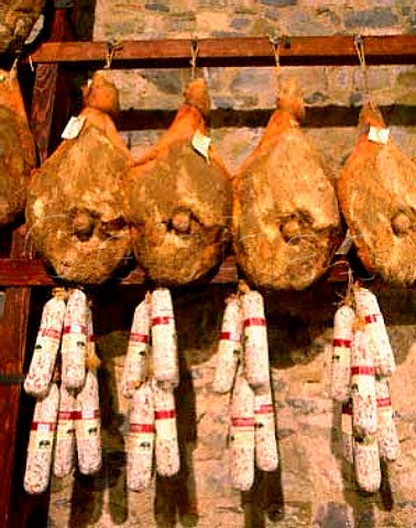 Hams and salamis hanging up in Macelleria Stiaccini  Castellina in Chianti Tuscany Italy