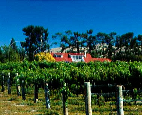 Vineyard and house of Glenmark Wines Waipara  NZ   South Island
