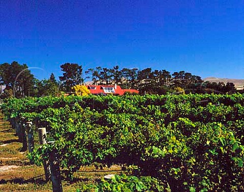 Vineyard and house of Glenmark Wines Waipara New   Zealand