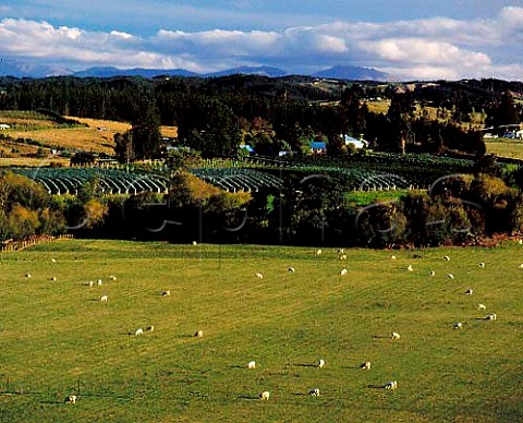 Neudorf Vineyards and winery in the Moutere Valley   Upper Moutere New Zealand   Nelson