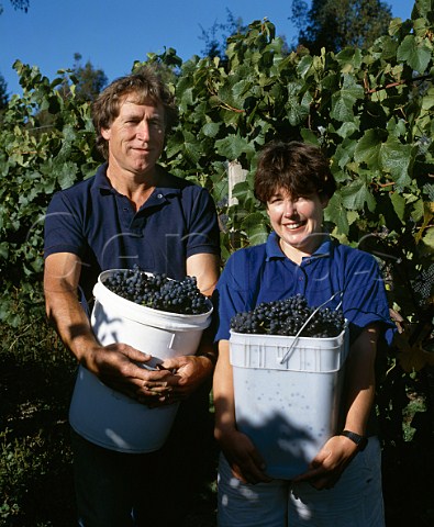 Tim and Judy Finn picking their Pinot Noir grapes   Neudorf Vineyards Upper Moutere near Nelson   New Zealand   Nelson