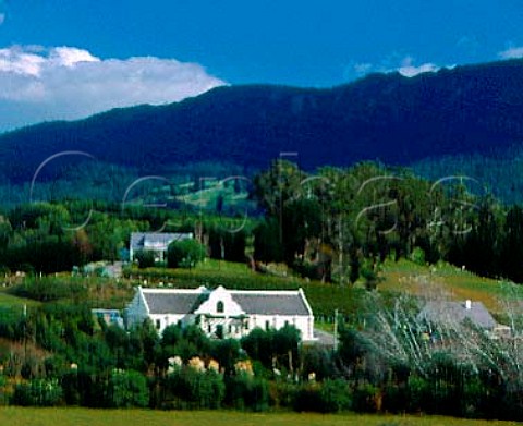 Morton Estate with Kaimai Range beyond   Katikati near Tauranga New Zealand   Bay of Plenty