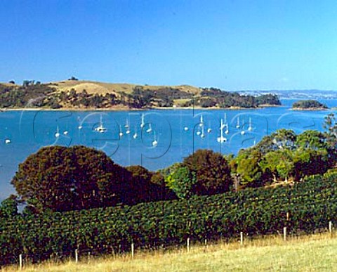 Goldwater Estate on Waiheke Island In the Hauraki   Gulf off Auckland