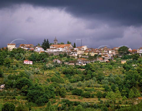 Terraced vineyards below village of Castro Daire in the Lafes region Portugal