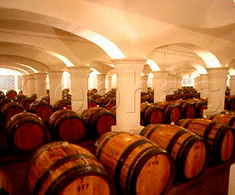 Bacalha Vinhos rent the cellars of J M da Fonseca to age   their wines  Azeitao Portugal