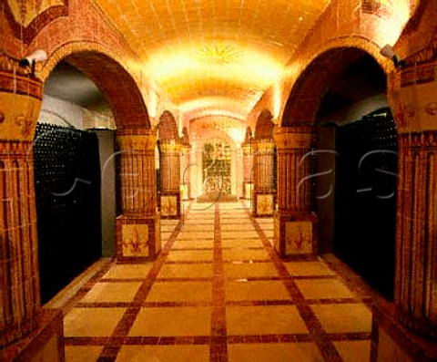 Bacalha Vinhos rent the cellars of J M Fonseca  to age their wines  Azeitao Portugal