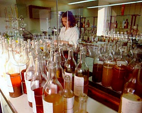 Laboratory of Bacalha Vinhos Pinhal Novo Portugal