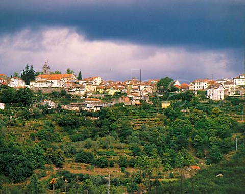 Terraced vineyards below Castro Daire Lafoes    Portugal