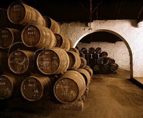 Barrels of Port in Taylors lodge Vila Nova de   Gaia Portugal