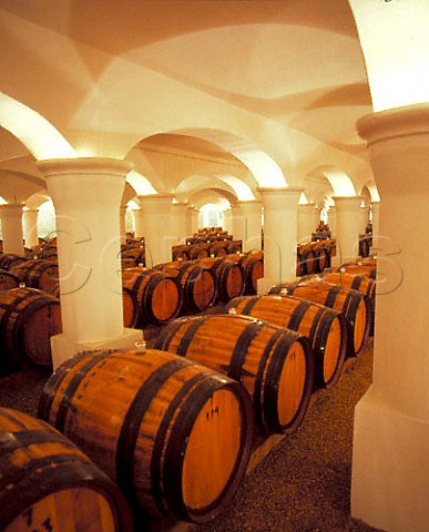 Barrels in cellar of JM da Fonseca Internacionales   Azeito near Setubal Portugal