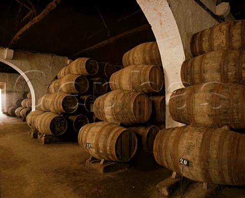 Pipes of Port maturing in Taylors lodge at   Vila Nova de Gaia Portugal