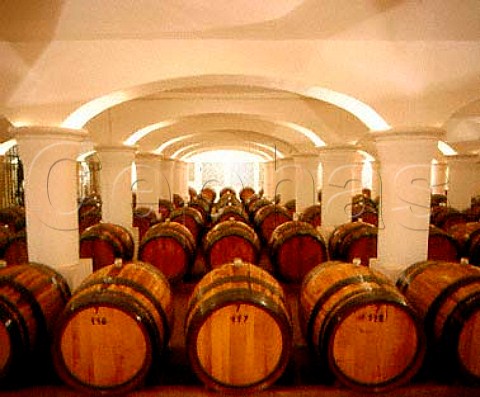 Barrel ageing in the cellars of J M da Fonseca   Azeitao Portugal   Terras do Sado