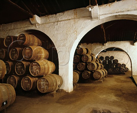 Port maturing in barrel in Taylors lodge at Vila Nova de Gaia Portugal
