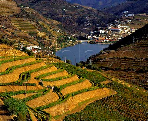 Pinho and the Douro river with vineyards ofFerreira Quinta do Seixo in the foreground The wideterraces on the left are known as patamares thoseplanted up and down the slope as vinha ao alto   Portugal Douro  Port