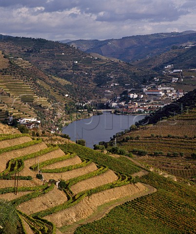Pinho and the Douro River with vineyards of  Ferreiras Quinta do Seixo in the foreground The  wide terraces are known as patamares the rows up and down the slope as vinha ao alto   Portugal  Port  Douro