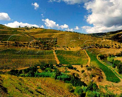 Ferreiras Quinta do Seixo left above the Rio   Torto a tributary of the Douro The rows of the   latest vineyards run up and down the slope known as   Vinha ao Alto Pinho Portugal    Port