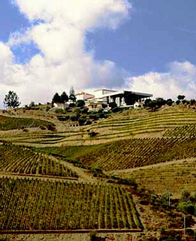 Ferreiras Quinta do Seixo above the Rio Torto a   tributary of the Douro River The rows of the latest   vineyards run up and down the slope known as Vinha   ao Alto  Pinho Portugal    Douro  Port