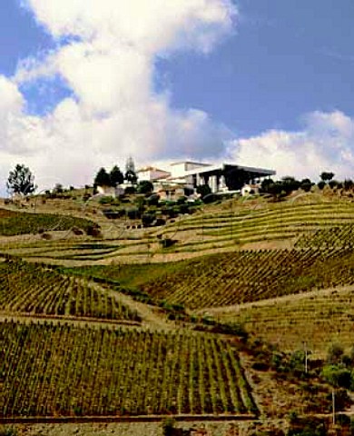 Ferreiras Quinta do Seixo above the Rio Torto a   tributary of the Douro River The rows of the latest   vineyards run up and down the slope known as Vinha   ao Alto  Pinho Portugal    Douro  Port