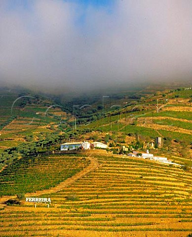 Morning fog on the hills above Ferreiras Quinta do   Porto near Pinho in the Douro Valley Portugal    Port