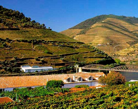 View over Symingtons Quinta do Bomfim by the Douro   at Pinho Portugal   Port