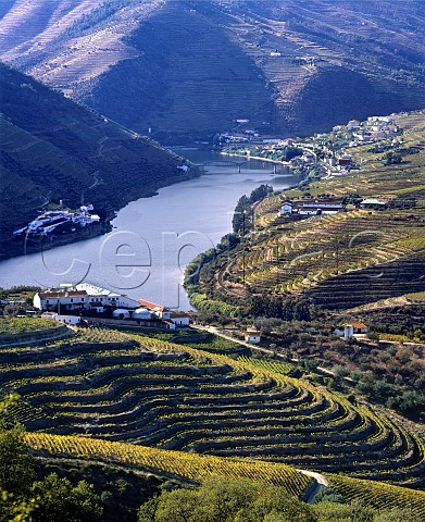 View down the Douro Valley to Pinho  Quinta de Ventozelo is in the foreground Real Companhia Vinicolas Quinta das Carvalhas is beyond on left with Crofts Quinta de Roeda across the river from it  Portugal  Port