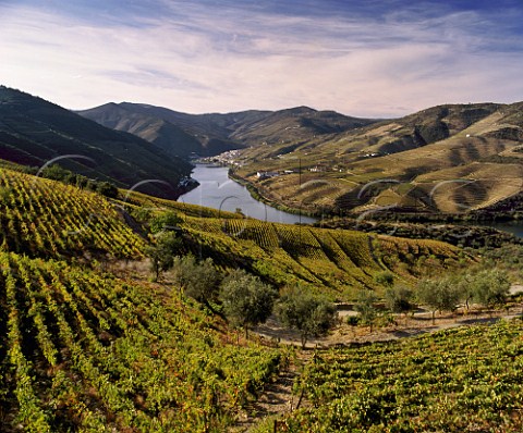 View down the Douro Valley to Pinho from Quinta de Ventozelo Portugal    Port