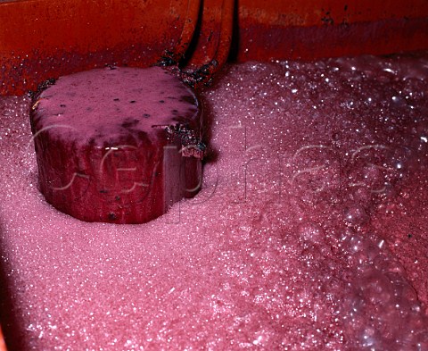 Autovinificator for making Port  Carbon dioxide   from the fermentation in the tank below forces the   must upwards Quinta do Bomfim Pinho Portugal   Port  Douro