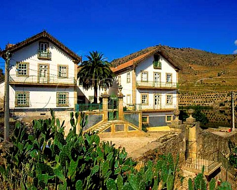 Quinta do Vesuvio by the Douro River A remote farm   well to the east of Pinhao it has recently been   purchased from Ferreira by the Symington group     Port