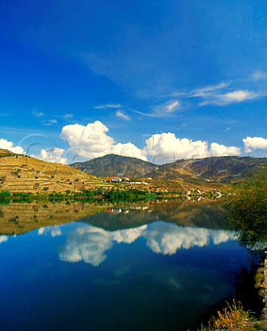 Quinta da Senhora da Ribeira viewed across the Douro   River from Quinta do Vesuvio a remote part of the   Douro valley to the east of Pinho   Portugal   Port