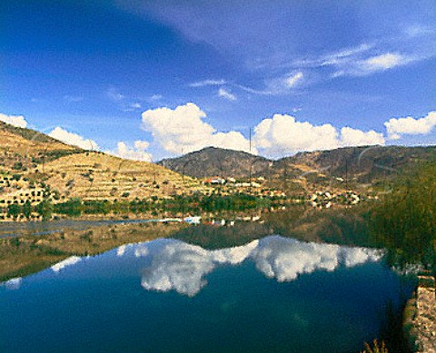 Quinta da Senhora da Ribeira viewed across the Douro   River a remote part of the Douro valley well to the   east of Pinho Portugal   Port