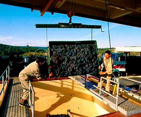 Unloading grapes at the Sogrape winery of   Quinta dos Carvalhais Mangualde Portugal     Dao