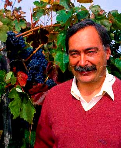 Luis Pato in vineyard of 70year old Baga vines at   Ois do Bairro Portugal   Bairrada