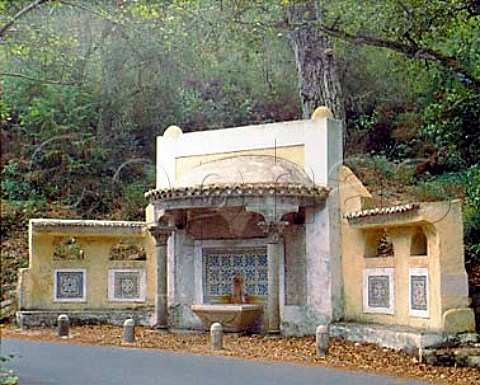 Fonte de Mata Alva  a fountain in the forest of   Sintra to the west of Lisbon Portugal