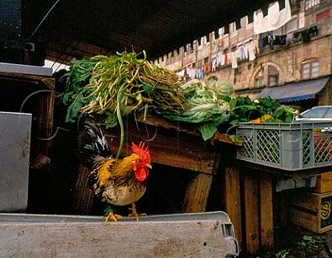 Vegetables and chickens for sale along the   Cais da Ribeira the waterfront area of Porto by the   Douro River Portugal