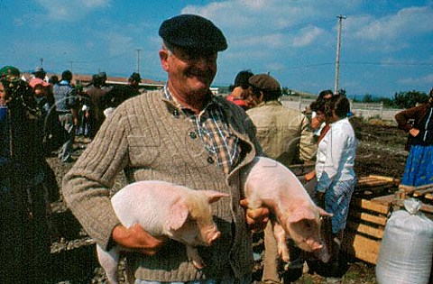 Man buying pigs at gypsy market in northwest Romania