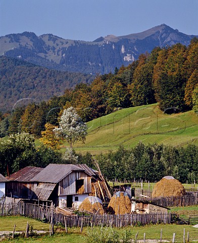 Hay barn in Carpathian Mountains at Cheia south east of Brasov Romania