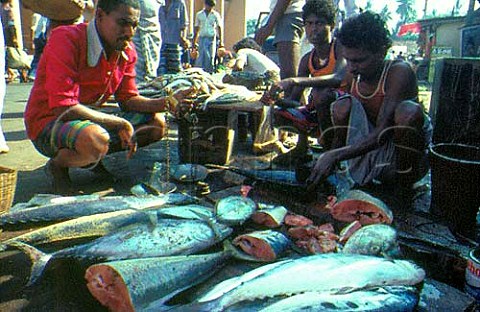 Selling tuna in Mount Lavinia market Sri Lanka