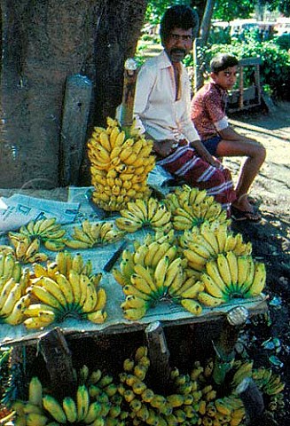 Banana stall Kandy Sri Lanka