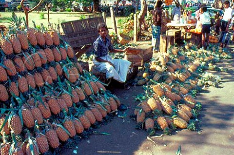 Pineapple stall Kandy Sri Lanka