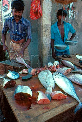 Tuna for sale in market Mount Lavinia Sri Lanka