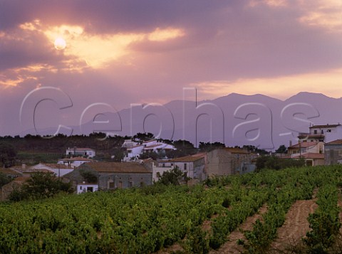 Sunset over village of Campmany and its vineyards  with the Pyrenees beyond   Catalonia Spain  AmpurdanCosta Brava
