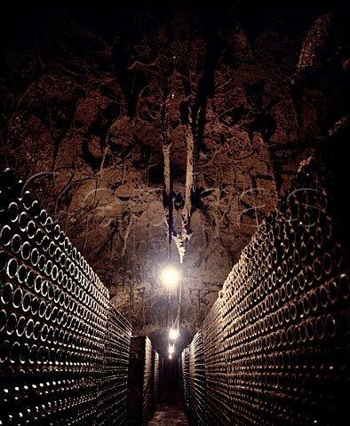 Very old bottles of Rioja in the cellars of   CVNE Haro La Rioja Spain
