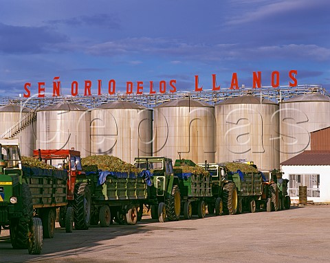 Trailers of grapes await unloading at Senorio de los Llanos winery Valdepeas CastillaLa Mancha Spain